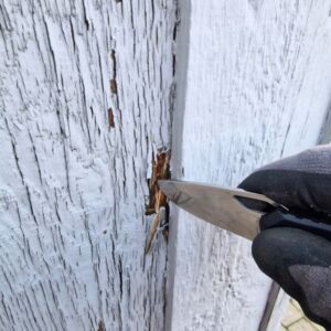 Udvendig vedligeholdelse. Få styr på råd i facaden før det er for sent.